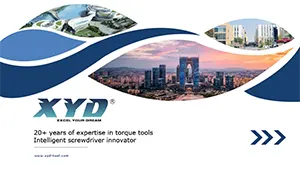 Профиль компании XYD